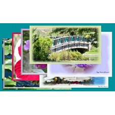 Package of 6 Note Cards