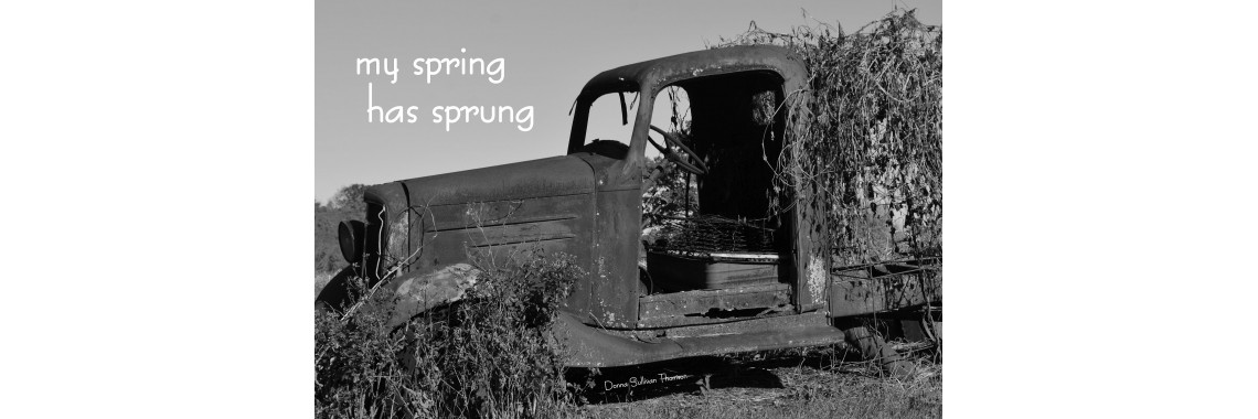 Truck Spring/Sprung