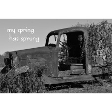 Truck Spring/Sprung